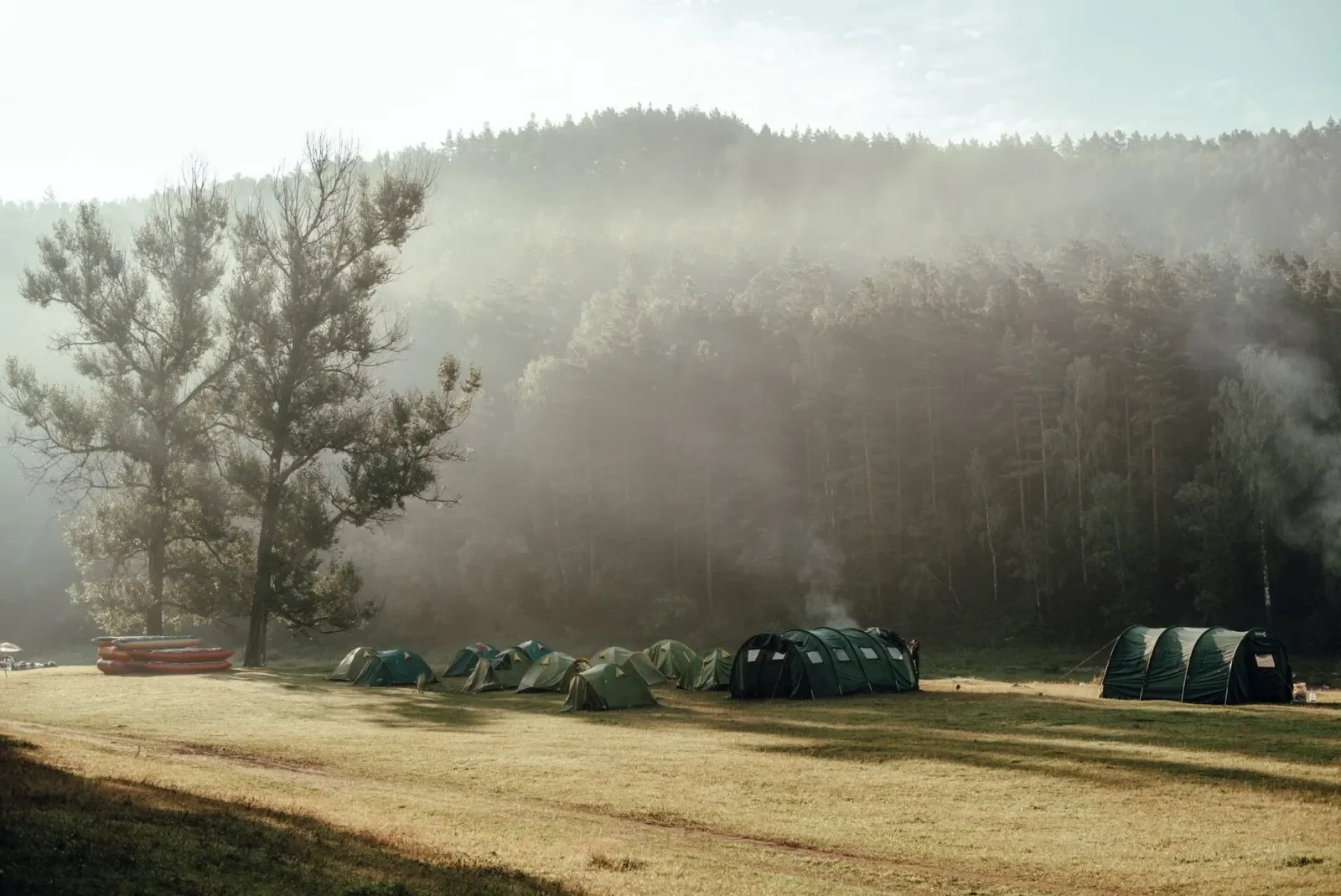 Tiendas de campaña en una pradera al pie de un monte con pinos, a primera hora